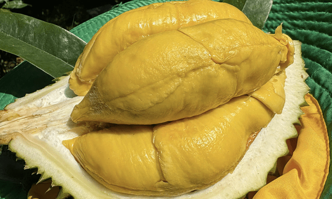 Fruit, vegetable exports to China climb to record .5B