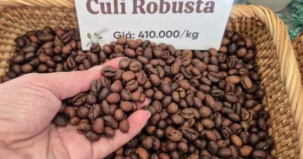 Giá cà phê lên đỉnh đẩy xuất khẩu cà phê Việt Nam lên 9 tỉ USD