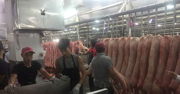 Giá heo mảnh tại chợ đầu mối tăng mạnh