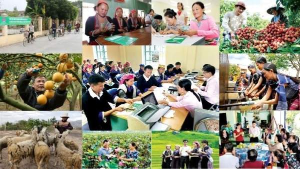 Hai thủ tục mới về phê duyệt dự án sản xuất thuộc chương trình mục tiêu quốc gia