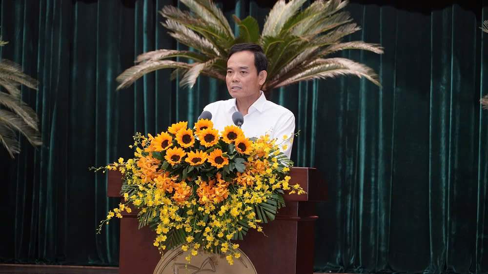TP. Hồ Chí Minh xem xét chủ trương đầu tư đường vượt biển Cần Giờ – Vũng Tàu