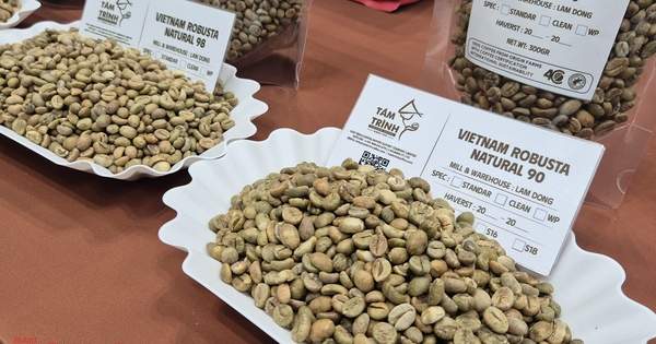 Tăng 4 phiên liên tục, Robusta vượt mốc 4.000 USD/tấn