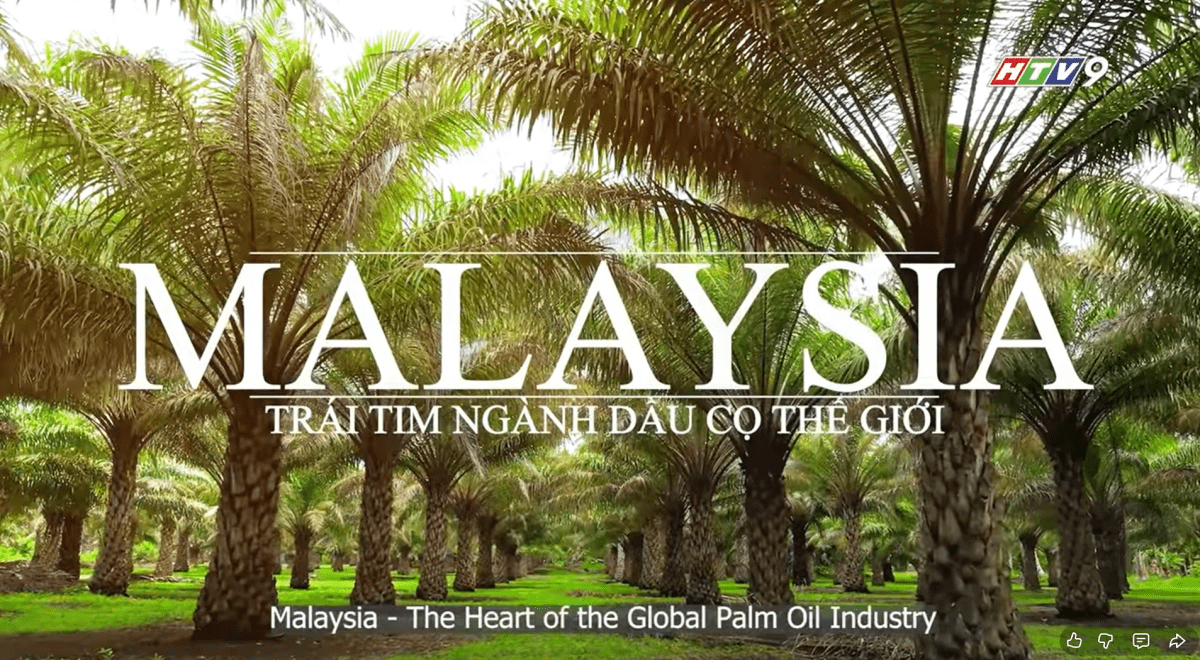 “The Palm Oil Story” explores Malaysia’s industry and global role
