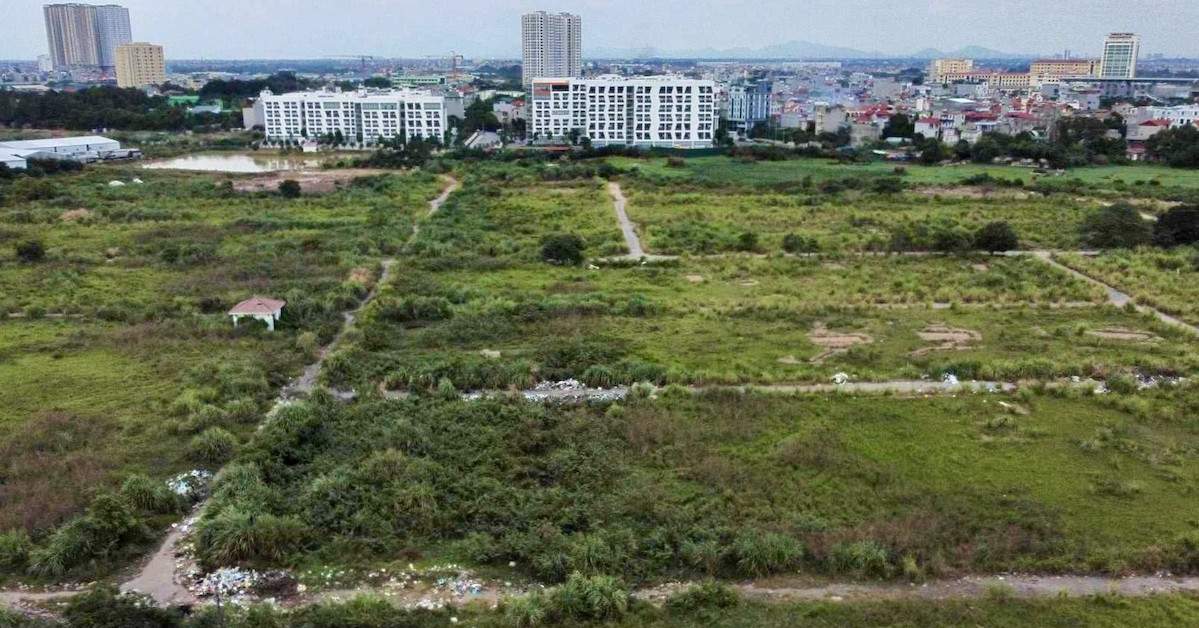 Biết đất đang tranh chấp vẫn đặt cọc, người mua thua kiện đòi phạt cọc