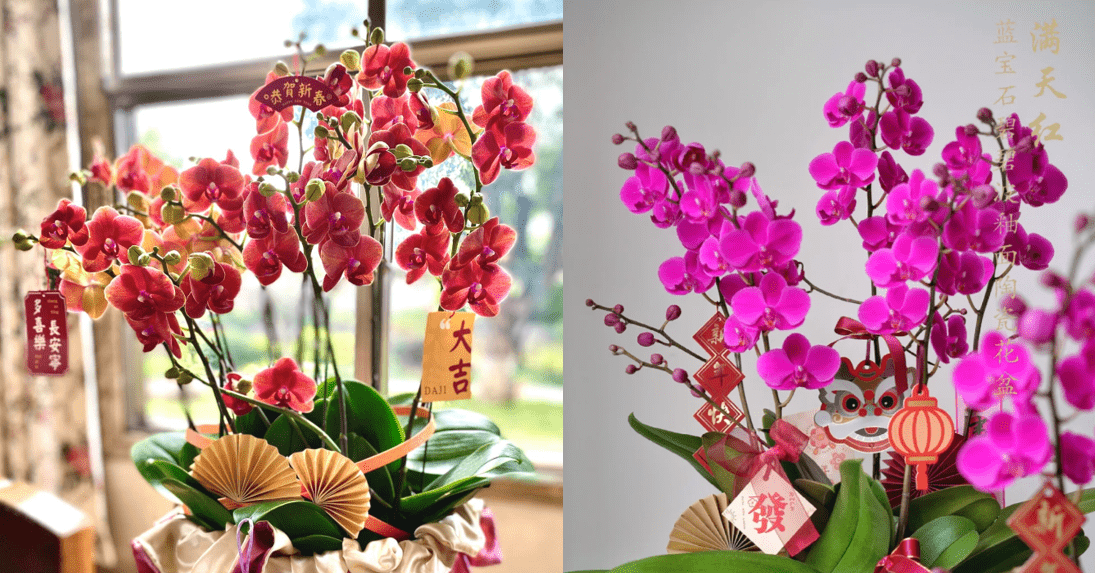 Chọn đúng để đón lộc, tránh xung khí đầu năm