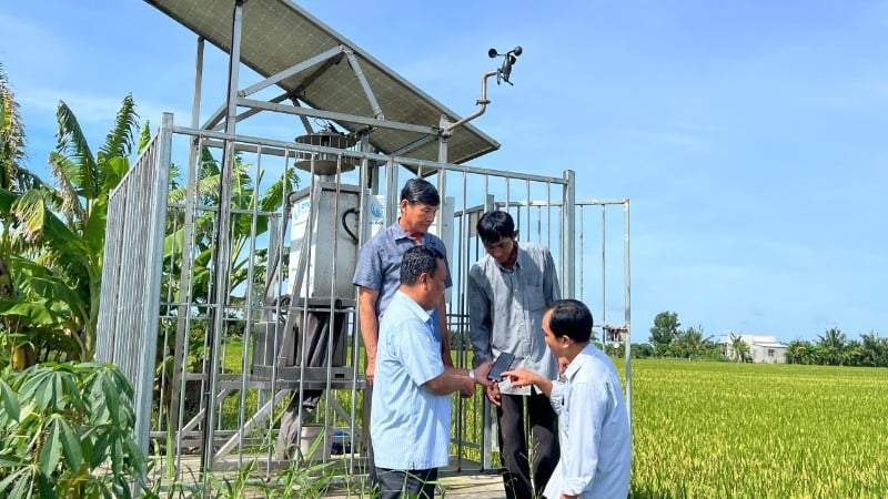 "Gieo" công nghệ số, nông dân Vĩnh Long gặt mùa vàng