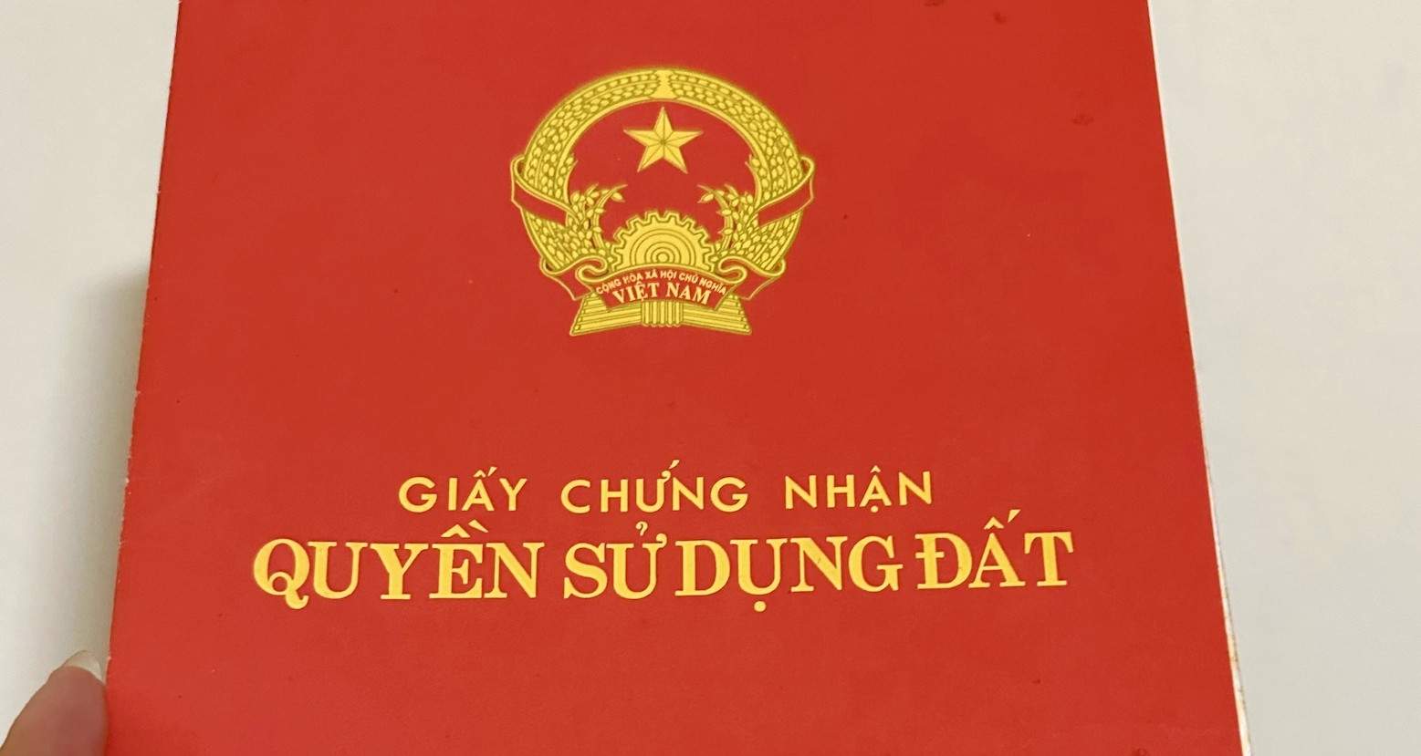 Có được cấp đổi hay bị thu hồi?