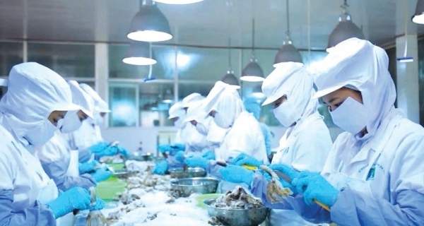 Doanh nghiệp vượt khó, Tết ấm no nhờ “bệ đỡ” tài chính công Doanh nghiệp vượt khó, Tết ấm no nhờ “bệ đỡ” tài chính công