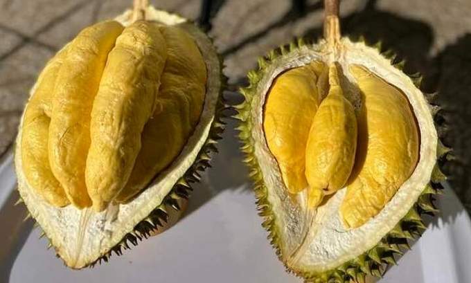 Durian prices jump above .4 per kg after Tet Durian prices jump above .4 per kg after Tet