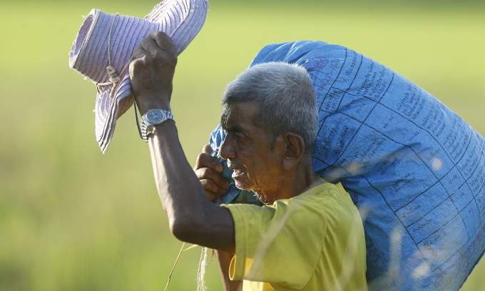 Thai rice exports fall sharply in January Thai rice exports fall sharply in January