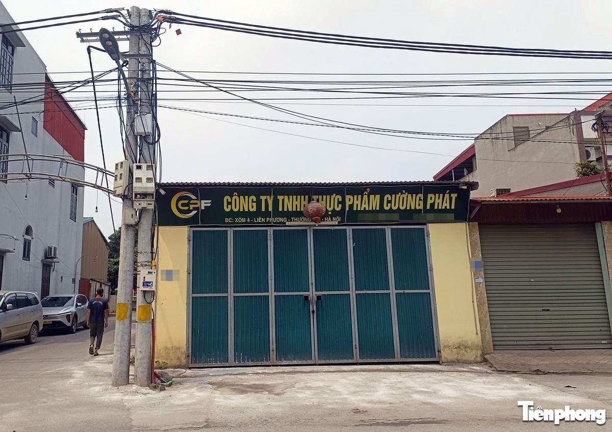 Chân dung công ty đưa thịt lợn bệnh vào nhiều trường học tại Hà Nội