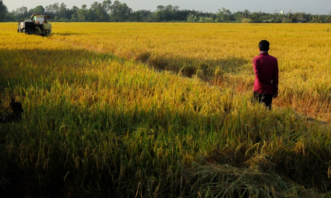Rice export volume rises 5% in first 2 months Rice export volume rises 5% in first 2 months