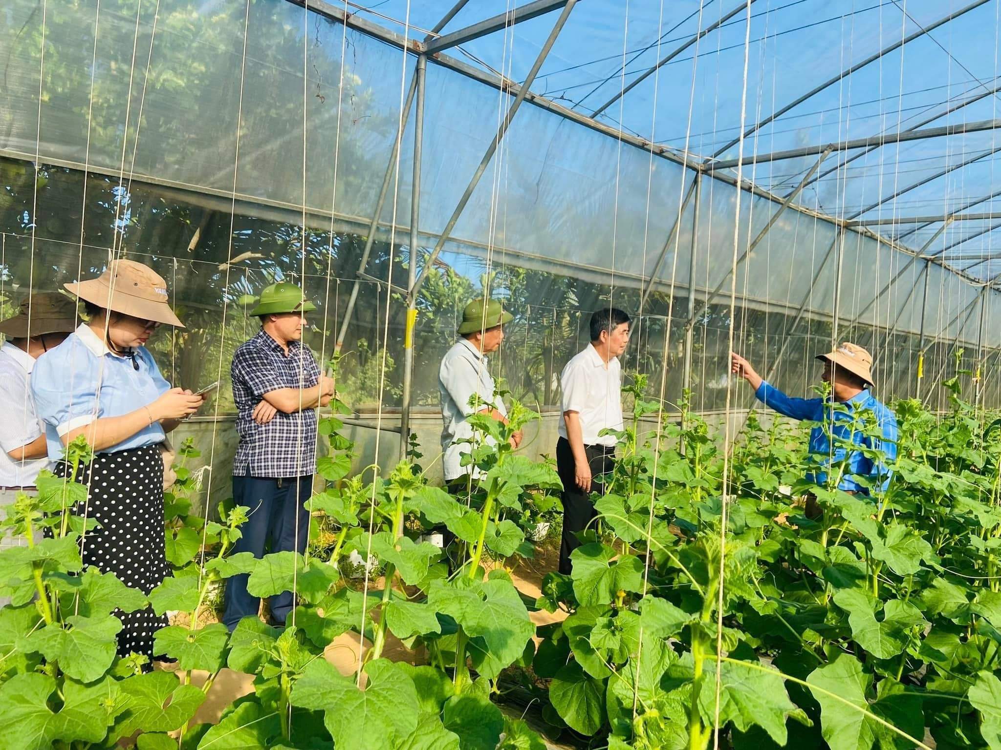 Thanh Hoá hoàn thiện chính sách để nông nghiệp bứt phá giai đoạn mới Thanh Hoá hoàn thiện chính sách để nông nghiệp bứt phá giai đoạn mới