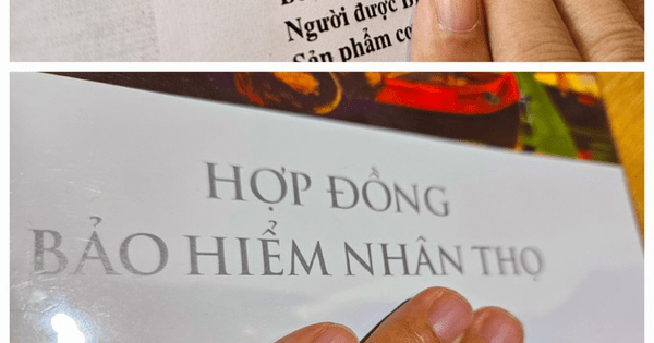 Trưởng Công an xã có quyền phạt vi phạm bảo hiểm lên đến 50 triệu đồng