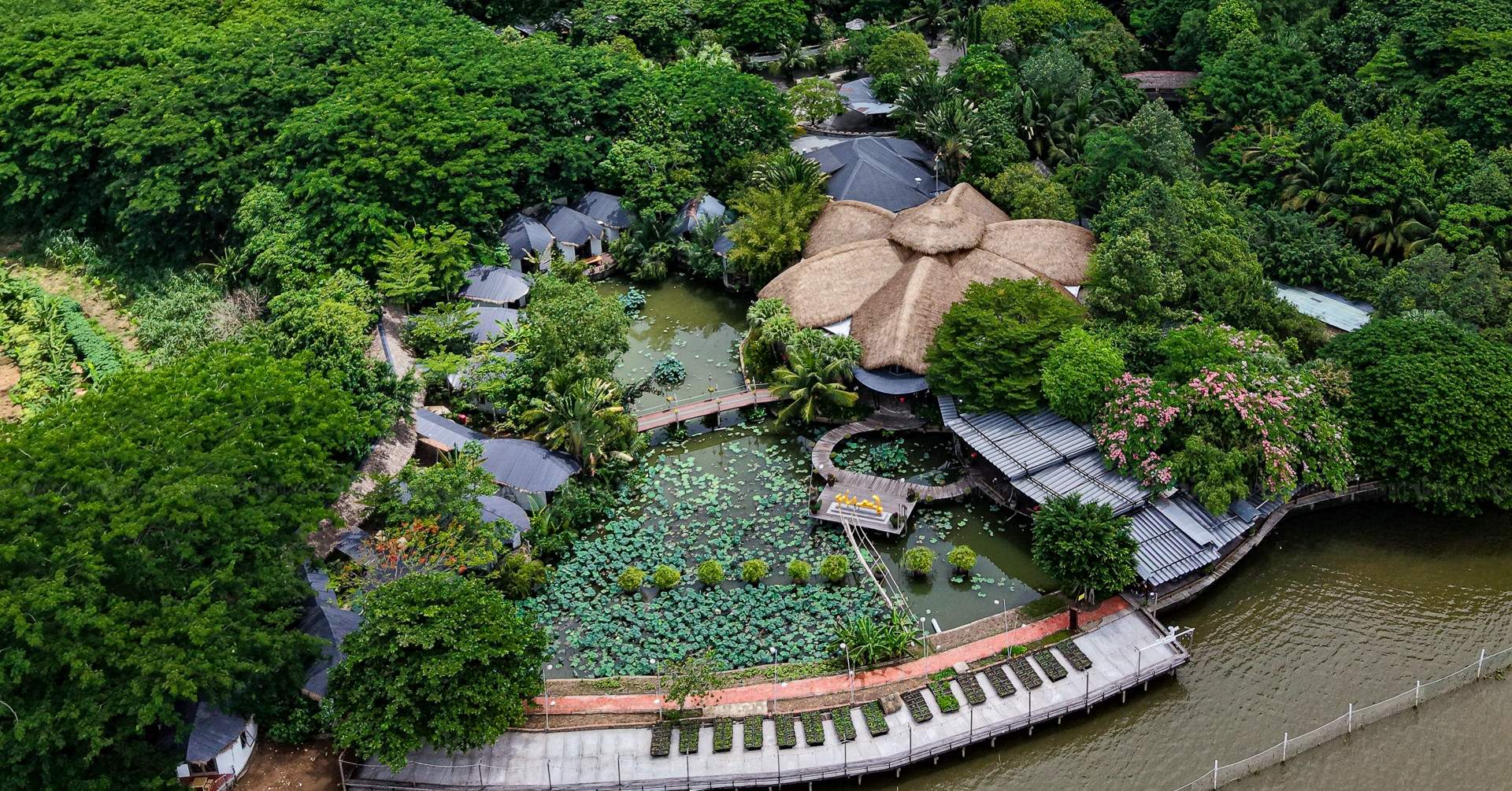 Anh em ruột ở Cần Thơ ‘từ mặt’ vì gần 2.400m2 đất thừa kế không di chúc