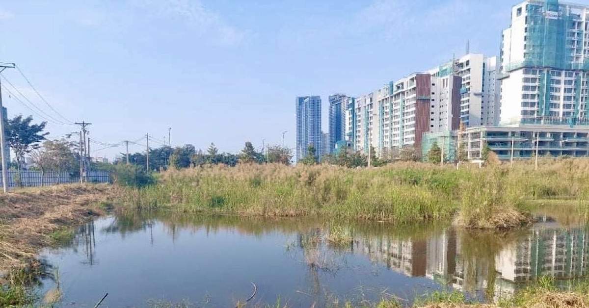 Hành trình đòi lại 2 tỷ đồng mua đất chưa có sổ đỏ tại TPHCM