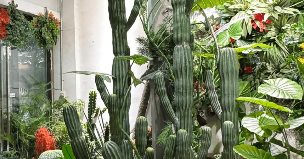 3 loại cây phong thủy nên cân nhắc trước khi đặt trong nhà