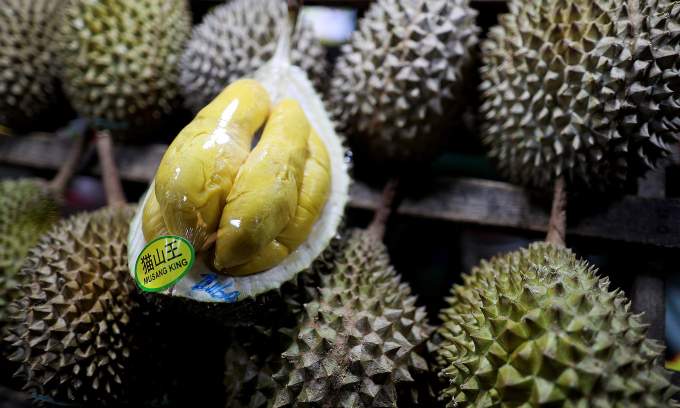 Malaysia’s durian season starts early with stronger-tasting, creamier fruits