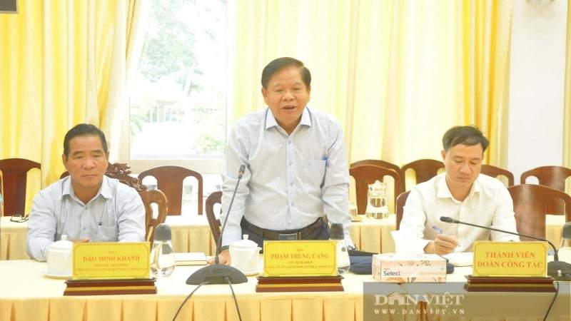 Ông Phạm Trung Cang muốn thuê 1.000ha đất ở Cần Thơ làm nông nghiệp giàu cỡ nào?