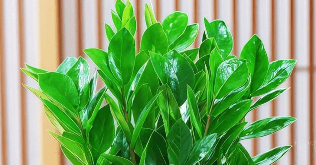 Vừa đẹp sang, vừa kích hoạt tài lộc