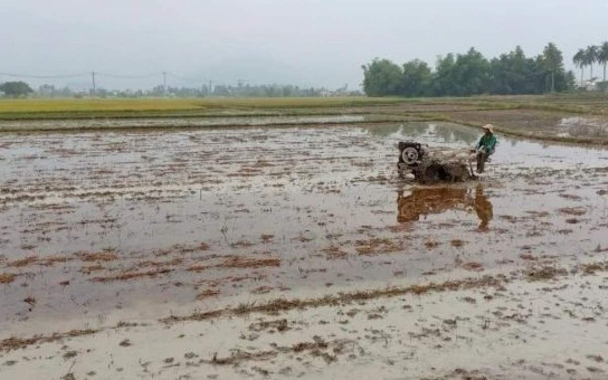 Gần 40% đất nông nghiệp bị suy thoái Gần 40% đất nông nghiệp bị suy thoái