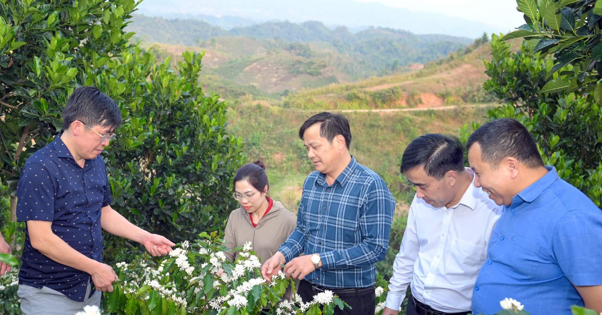 Giá cà phê giờ minh bạch, không ép được nữa