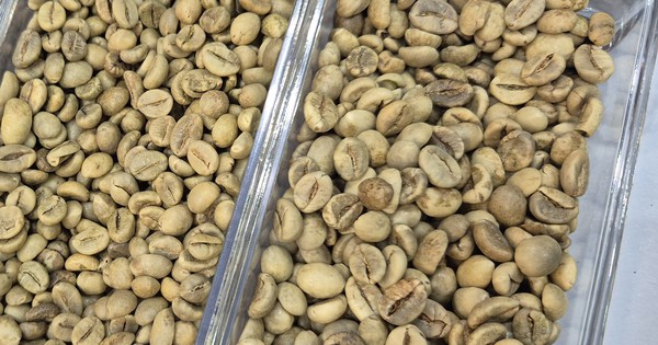 Giảm nhưng có tin vui từ thị trường Mỹ
