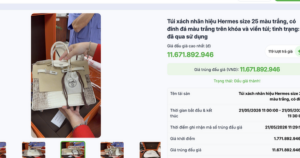 Túi Hermes bà Trương Mỹ Lan từng nói “giá trị không đáng bao nhiêu”, đấu giá thu về hơn 14 tỉ đồng