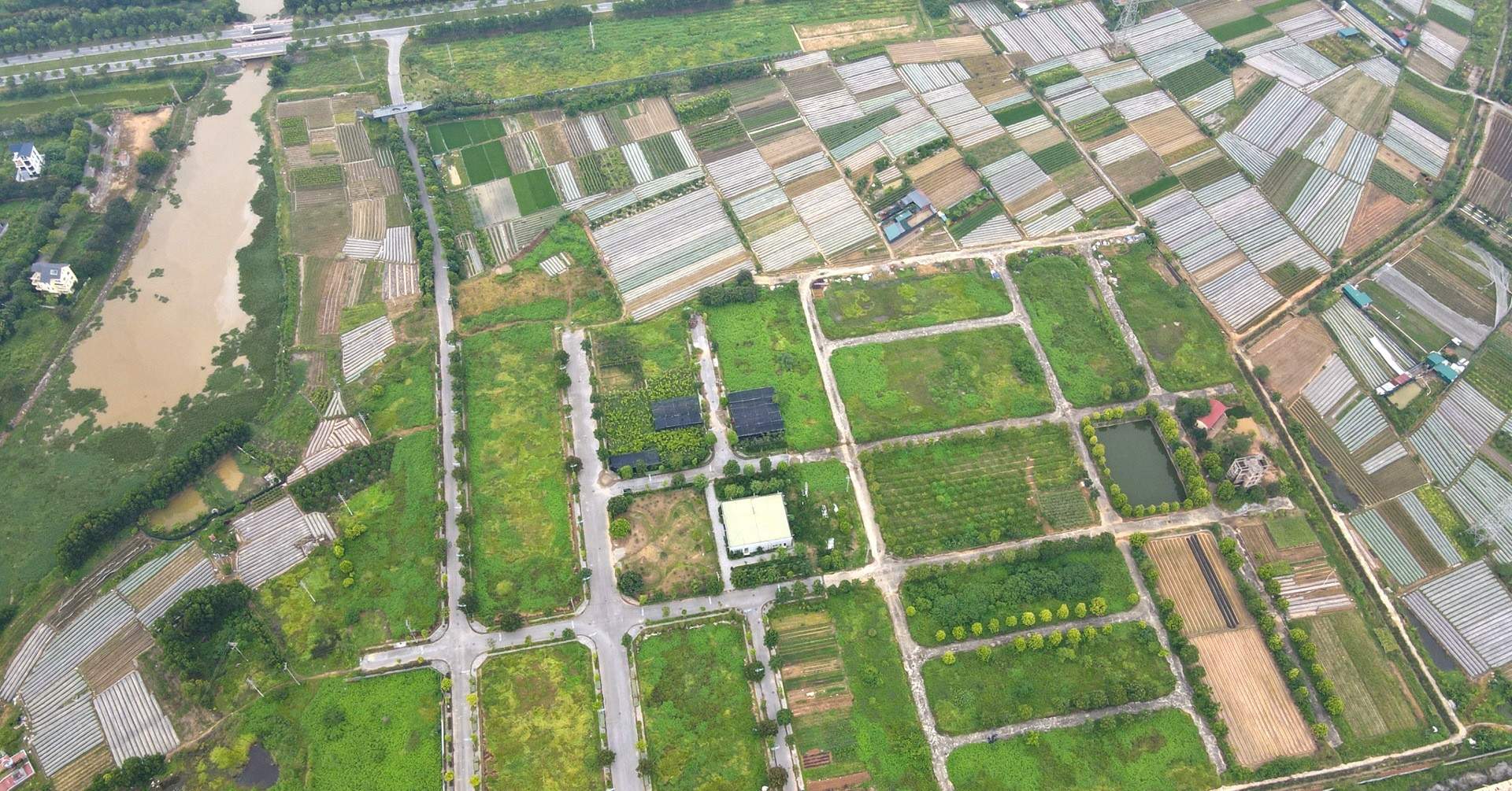 3 bước, không thu phí
