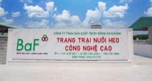 Mua lại 99,99% cổ phần nhưng không thông báo, BAF Việt Nam bị xử phạt