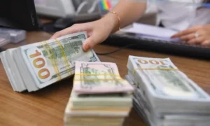 Dollar gains over dong – VnExpress International