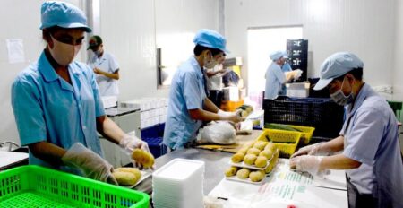 Doanh Nghiệp Rút Hồ Sơ: Thủ Tục Hỗ Trợ Phiền Hà