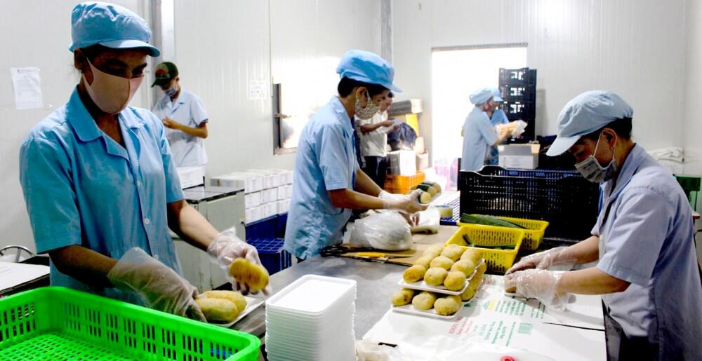 Doanh Nghiệp Rút Hồ Sơ: Thủ Tục Hỗ Trợ Phiền Hà