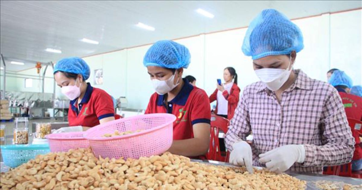 Khó khăn tại thị trường Trung Đông, ngành điều hạ mục tiêu xuất khẩu Khó khăn tại thị trường Trung Đông, ngành điều hạ mục tiêu xuất khẩu