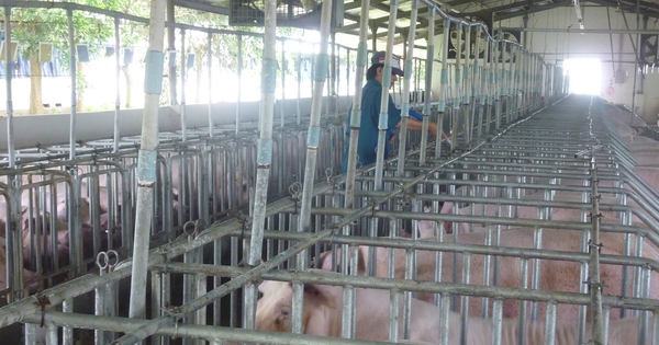 Khu vực phía Nam giảm mạnh