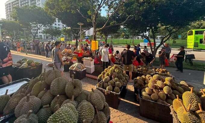 One-ton-a-day free durian giveaway draws long queues in Singapore