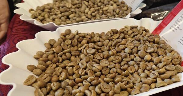 Robusta giao ngay vẫn “nóng”