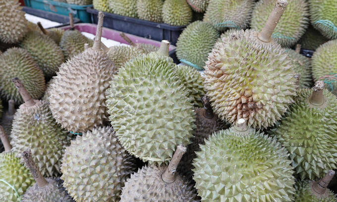 Singapore enjoys /kg Musang King amid durian glut in Malaysia