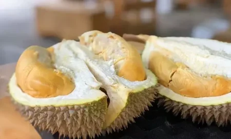 Singapore’s Giant supermarket to launch  all-you-can-eat durian buffet featuring Musang King, Black Gold