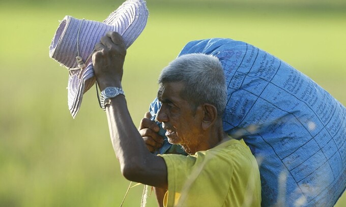 Thailand eyes 7 million tonnes in rice export Thailand eyes 7 million tonnes in rice export