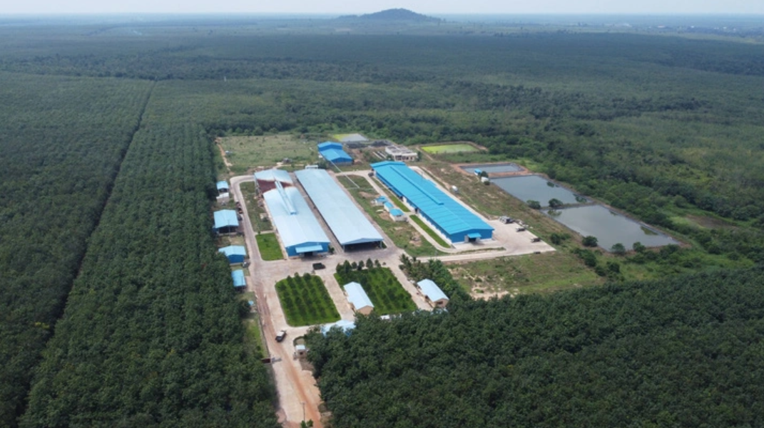 Việt Nam và Campuchia nâng tầm hợp tác toàn diện ngành nông nghiệp Việt Nam và Campuchia nâng tầm hợp tác toàn diện ngành nông nghiệp