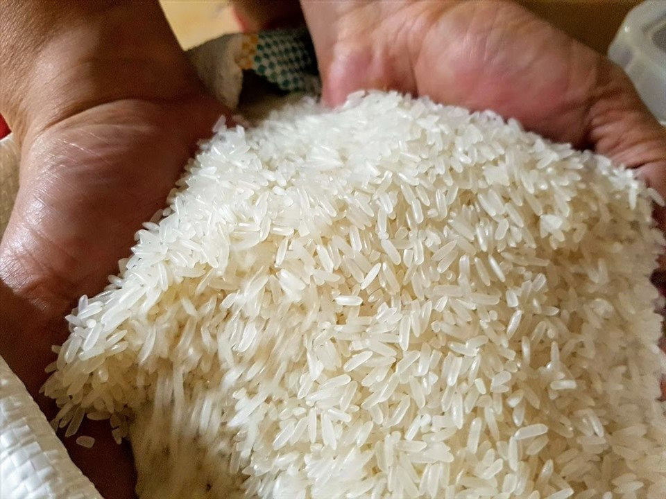 Xuất khẩu gạo Việt Nam: Cơ hội và thách thức mới