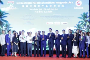 Xuất khẩu rau quả Việt Nam sang Trung Quốc: Tiềm năng lớn Xuất khẩu rau quả Việt Nam sang Trung Quốc: Tiềm năng lớn