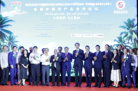 Xuất khẩu rau quả Việt Nam sang Trung Quốc: Tiềm năng lớn Xuất khẩu rau quả Việt Nam sang Trung Quốc: Tiềm năng lớn