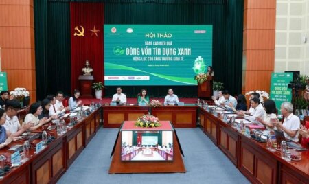 Tín dụng xanh tăng 20% mỗi năm, vì sao doanh nghiệp vẫn “khát” vốn chuyển đổi?