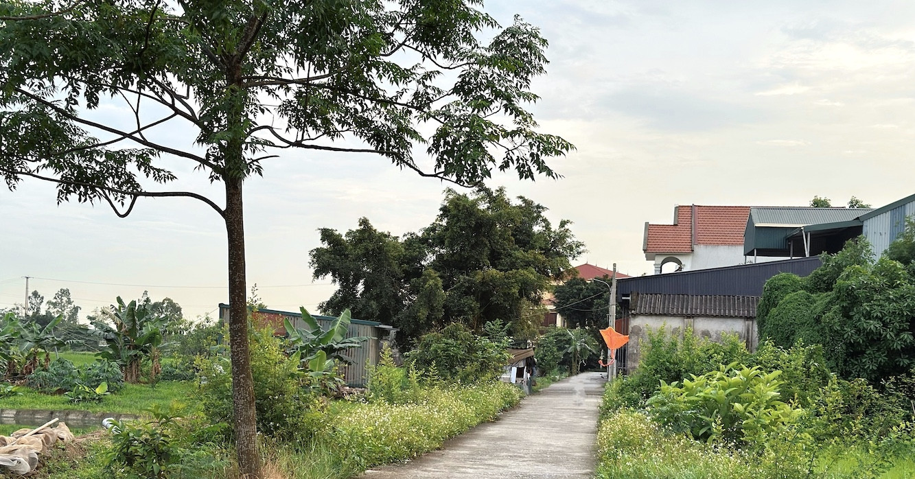 Lý do đất nông nghiệp có sổ đỏ, trong quy hoạch đất ở vẫn bị từ chối lên thổ cư Lý do đất nông nghiệp có sổ đỏ, trong quy hoạch đất ở vẫn bị từ chối lên thổ cư