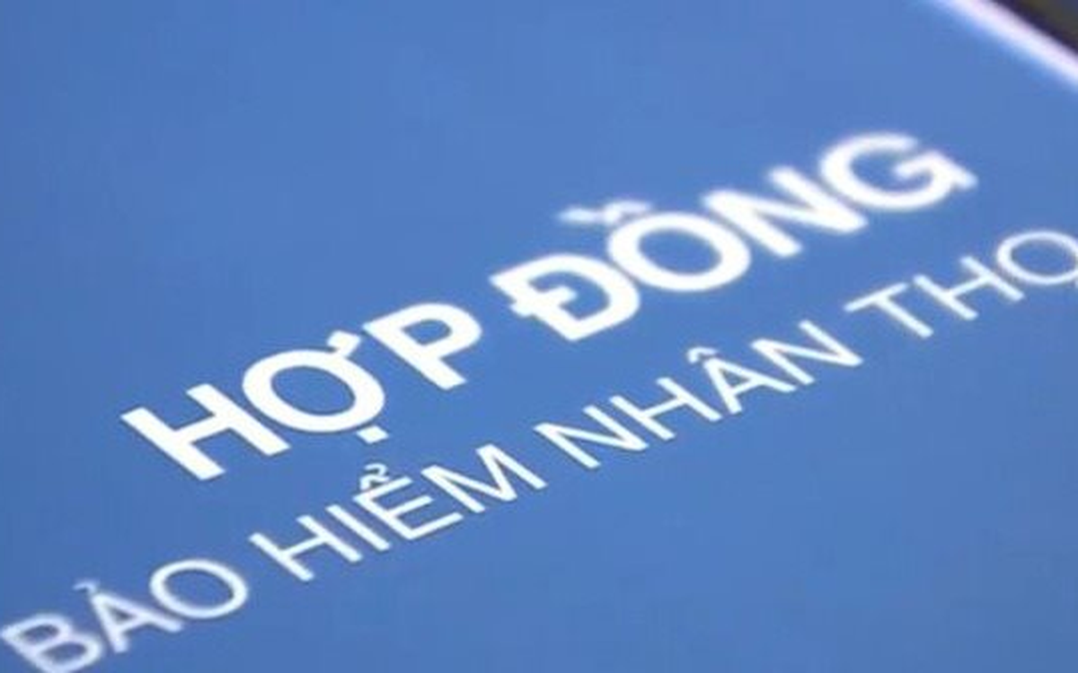 Xuất hiện công ty bảo hiểm nhân thọ hoàn toàn mới tại Việt Nam