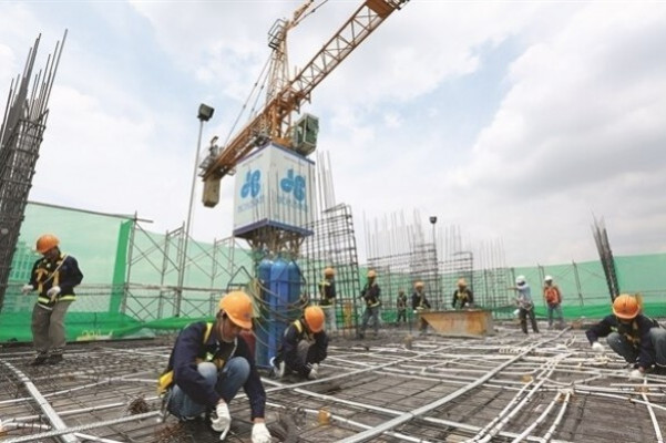 Thái Tuấn, Địa ốc Hoàng Quân và loạt doanh nghiệp… chậm đóng bảo hiểm xã hội hàng chục tỷ đồng Thái Tuấn, Địa ốc Hoàng Quân và loạt doanh nghiệp… chậm đóng bảo hiểm xã hội hàng chục tỷ đồng