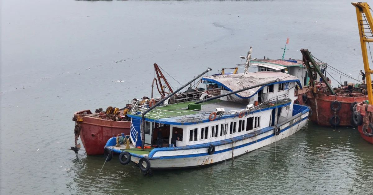 Số tiền bảo hiểm chi trả cho nạn nhân vụ lật tàu Vịnh Xanh 58 tăng hơn 1,5 lần so với ước tính ban đầu Số tiền bảo hiểm chi trả cho nạn nhân vụ lật tàu Vịnh Xanh 58 tăng hơn 1,5 lần so với ước tính ban đầu