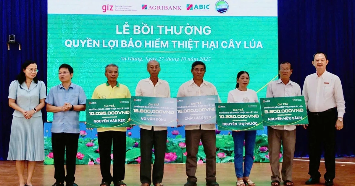 Bảo hiểm thiệt hại cây lúa – “Tấm lá chắn” giúp nông dân Đồng bằng sông Cửu Long an tâm bám ruộng
